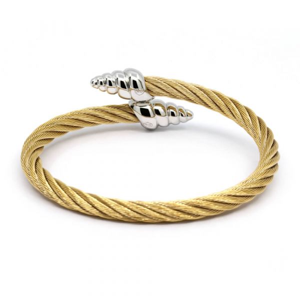 Bangle Celtic Coquille
