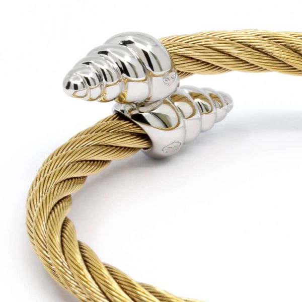 Bangle Celtic Coquille