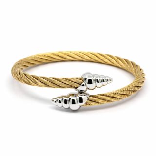 Bangle Celtic Coquille