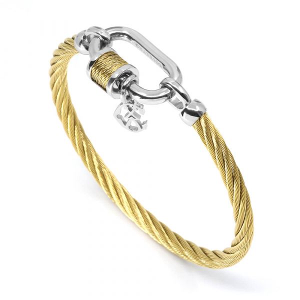 Bangle Forever Lock