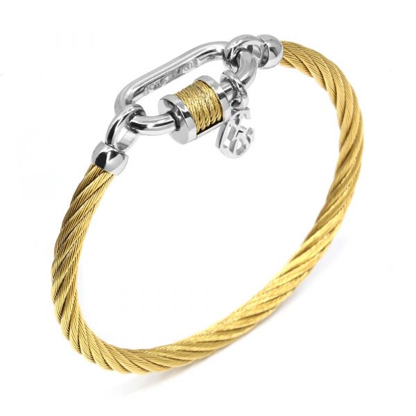 Bangle Forever Lock
