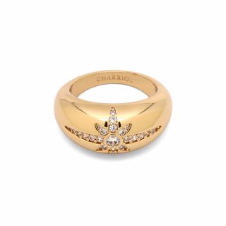 Ring Sunflare